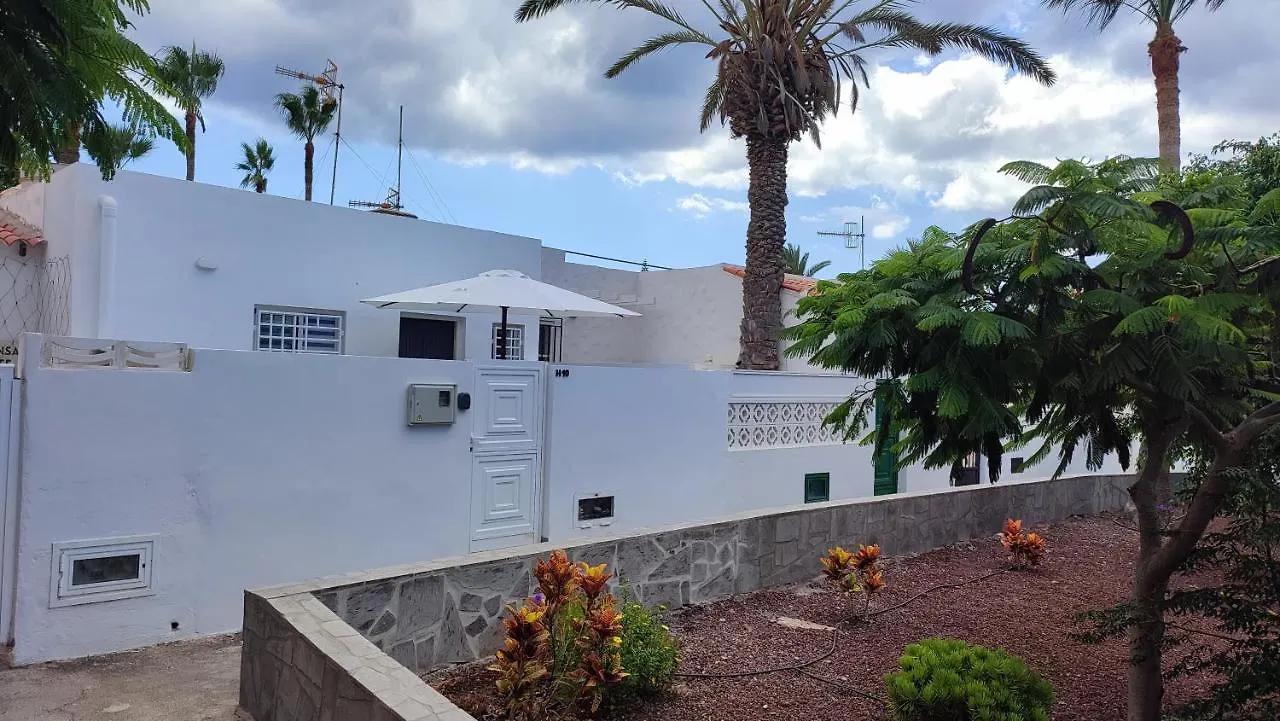 Marga Studio H10 Arona